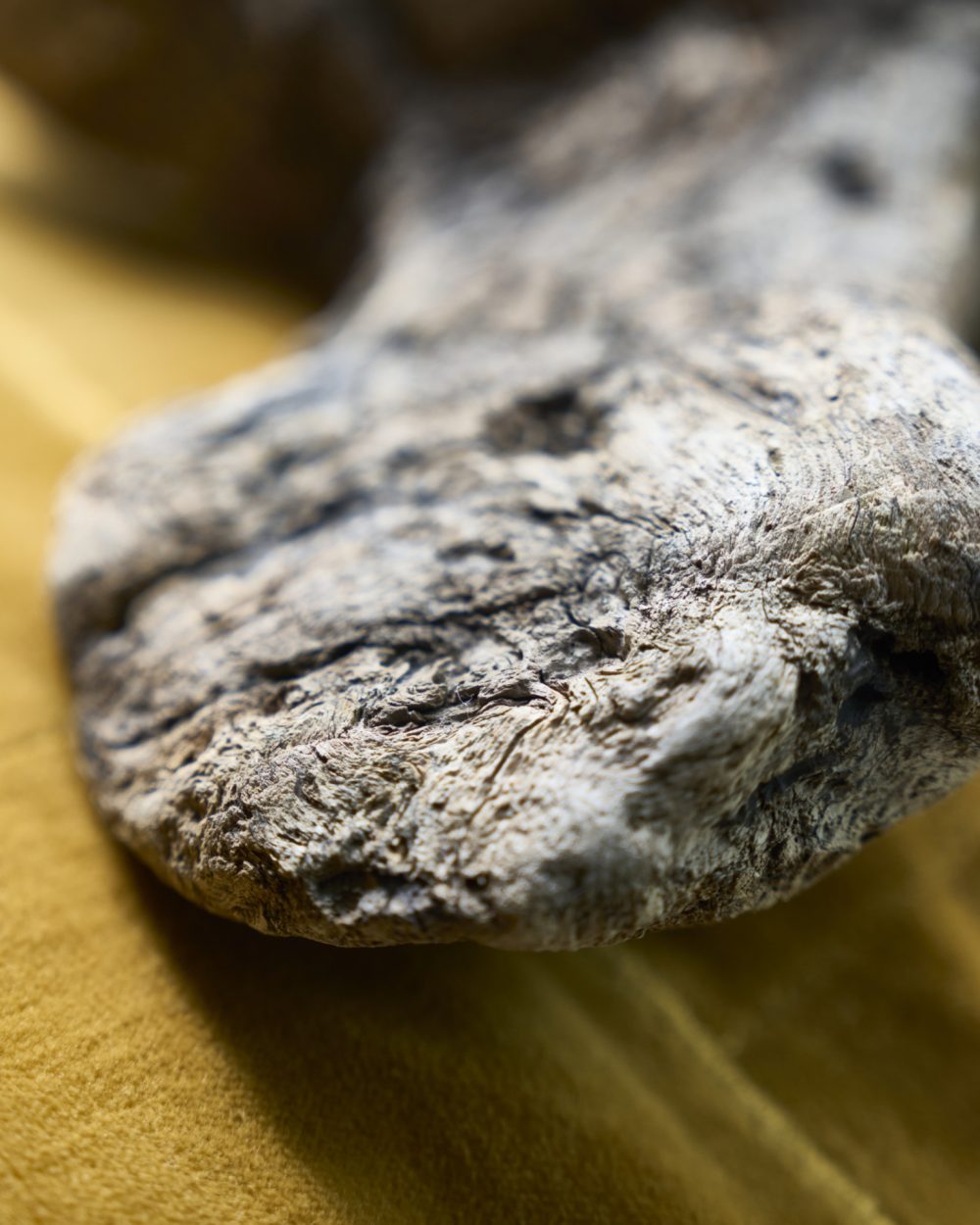 Bois brut posé sur un textile ocre
